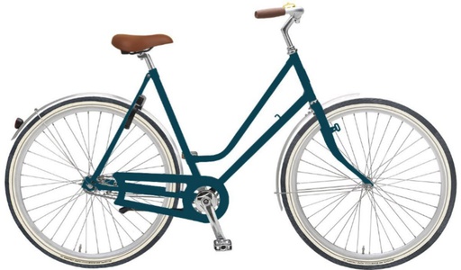 Branded Bike